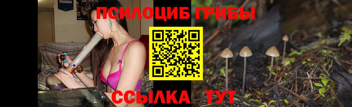 Изобильный  Псилоцибиновые грибы прущие грибы  что такое   Вход с VPN 